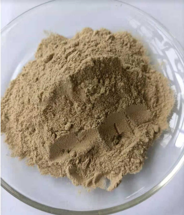 什么是植物提取物？小编来带大家了解一下！